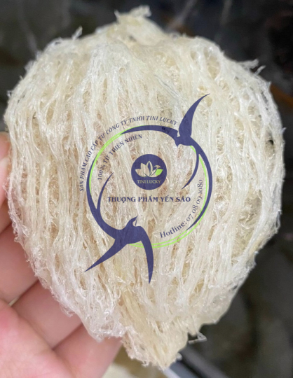 Yến Sào - Tinh Chế B 1 Mặt Sợi Tini Nest